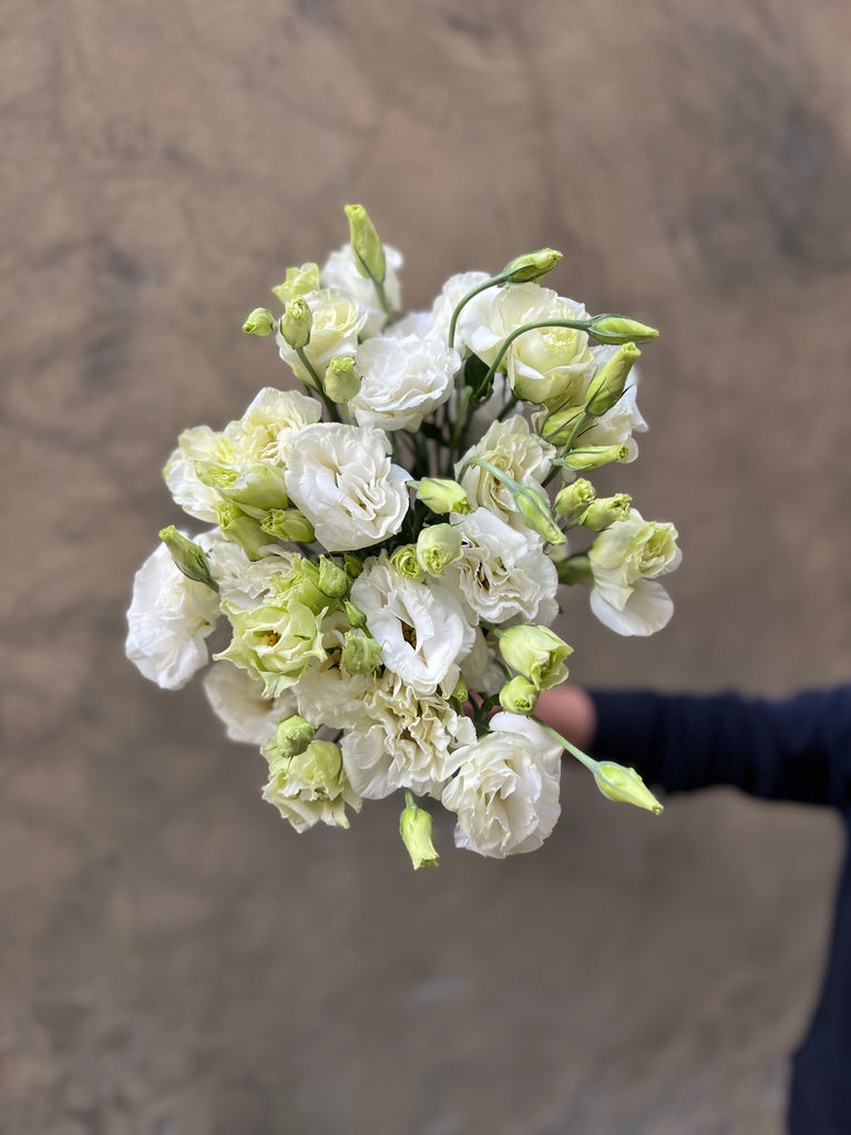 White Lisianthus - The Home Edit