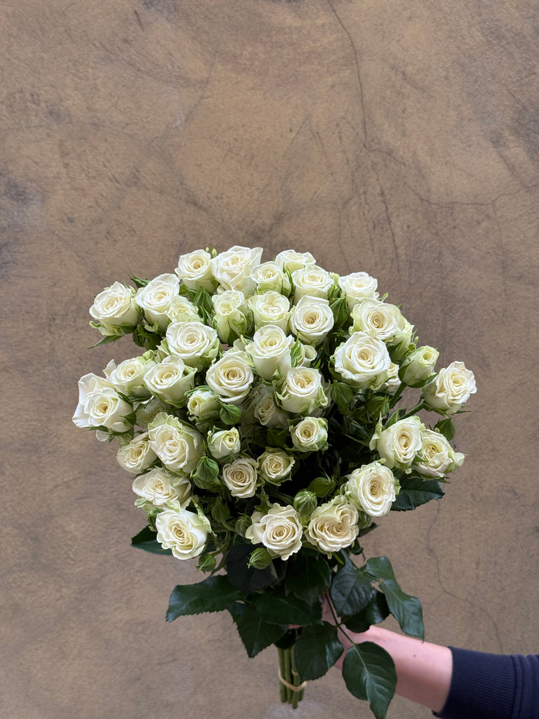White Spray Roses - The Home Edit