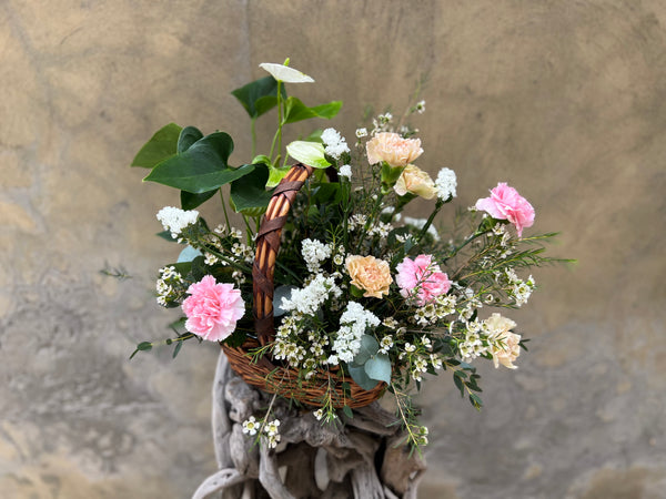Plant and Flowers Gift Basket