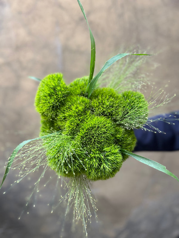 Cool Kiwi Combo - The Home Edit