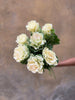 Brassica - The Home Edit