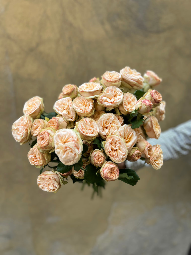 Peach Spray Roses - The Home Edit
