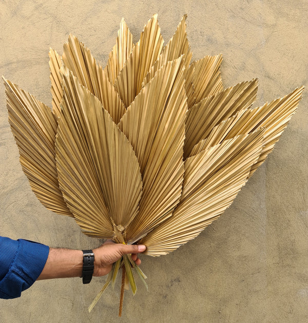 Dried Palm Leaves (Gold) - The Home Edit
