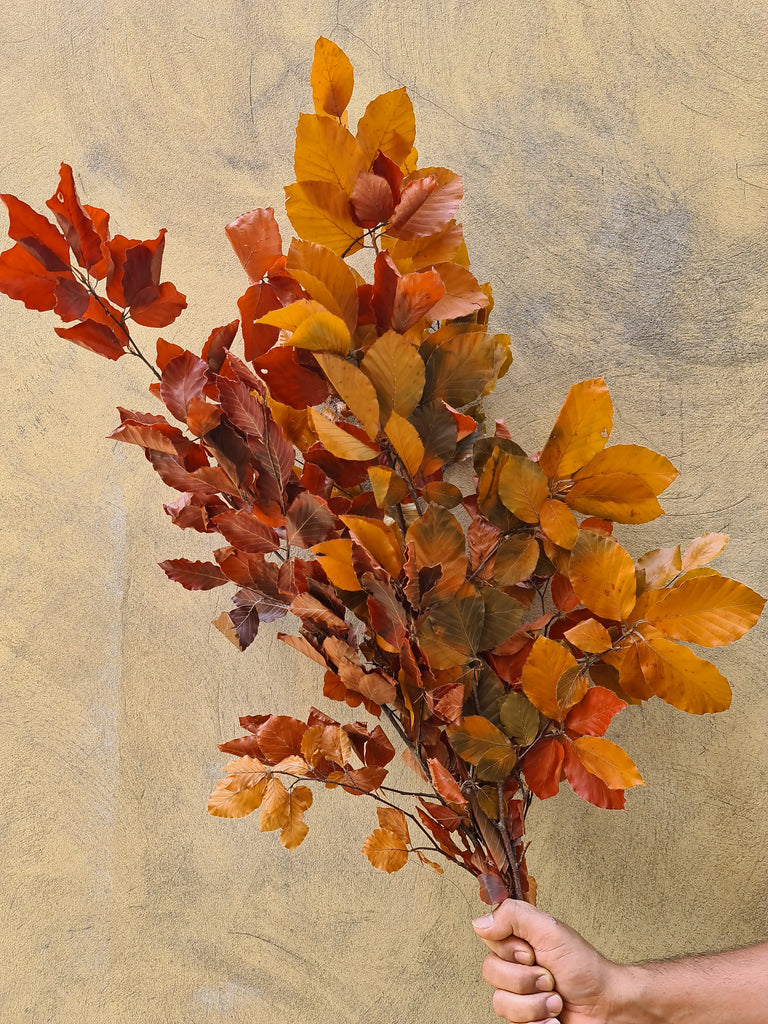 Preserved Autumn Leaves - The Home Edit