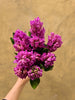 Fragrant Lilac-Pink Hyacinth - The Home Edit