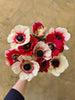 Anemone Mistral Red-White - The Home Edit