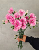 Pink Carnation Fiorino Iris Spray - The Home Edit