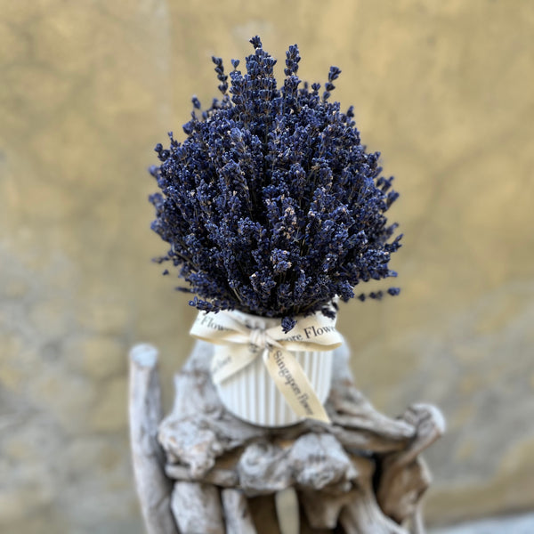 Lavender Fields - Everlasting Blooms