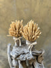 Wheat Fields Set