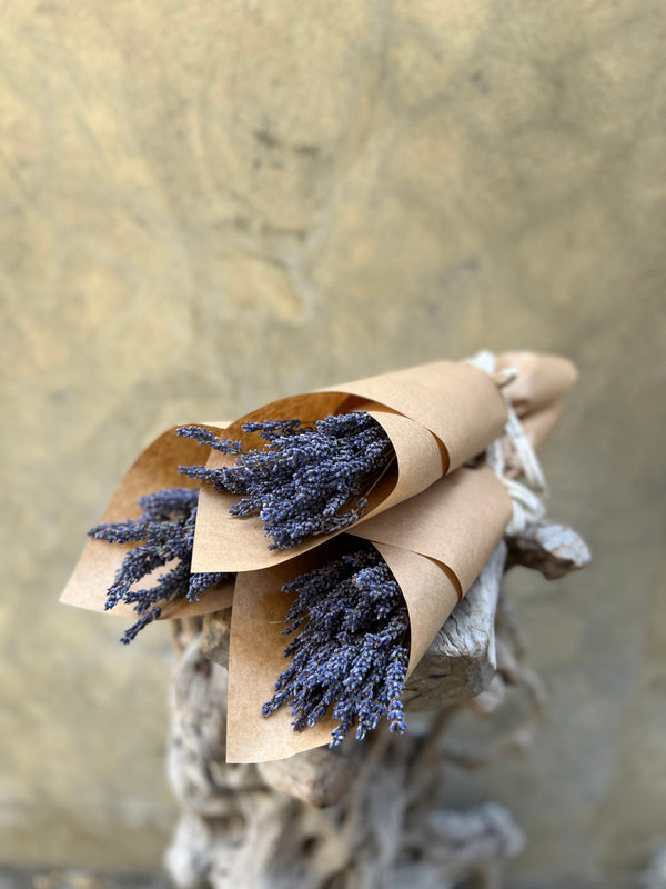 Dried Lavender Trio - The Home Edit