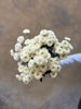 Chrysanthemums Santini Spray White - The Home Edit