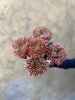 Bronze Chrysanthemums - The Home Edit