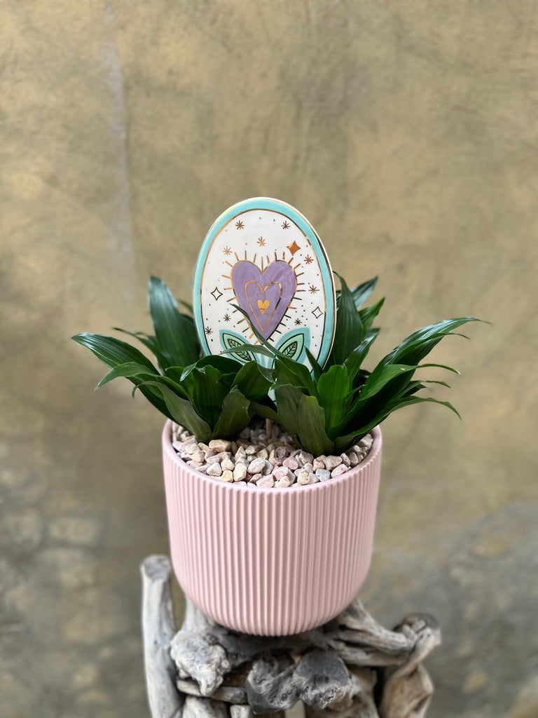 Dracaena Compacta with Heart Flower Wall Decor