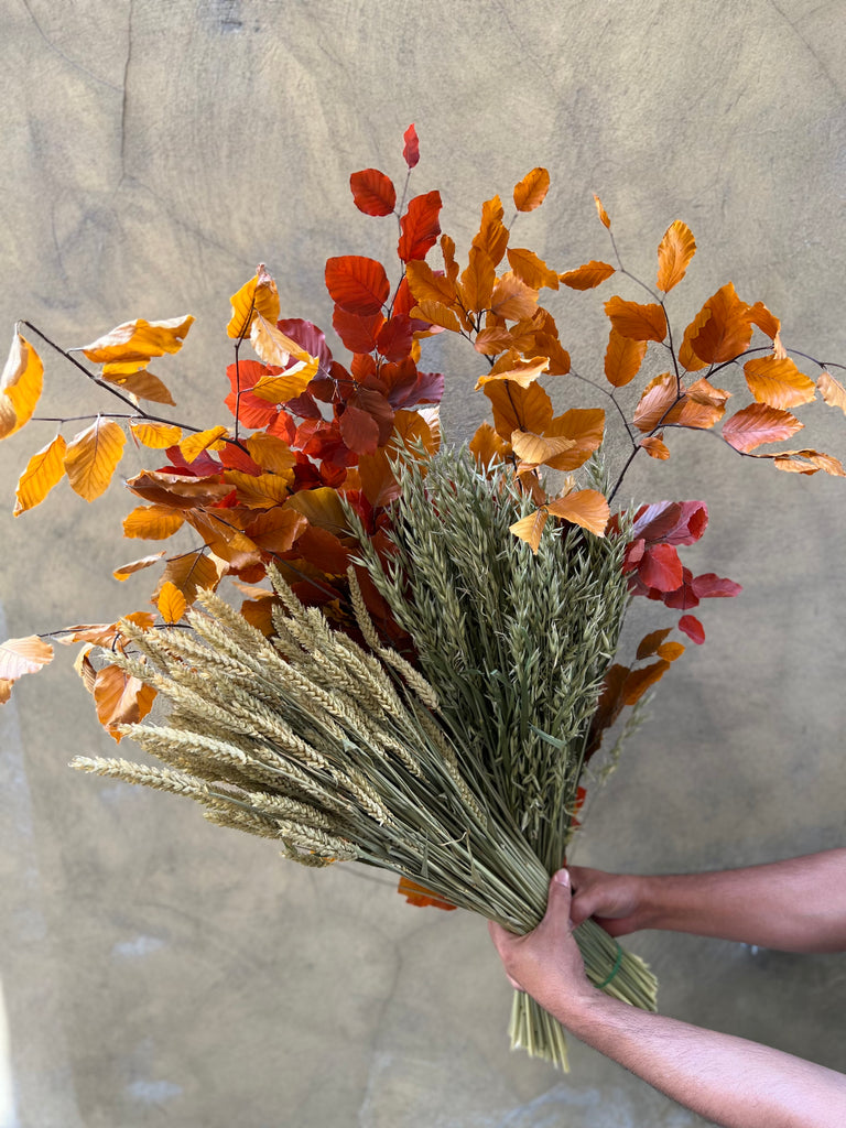 Fall Harvest Bundle - The Home Edit