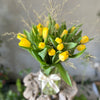 Tulip Sparkler