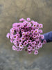 Lilac Santini - The Home Edit