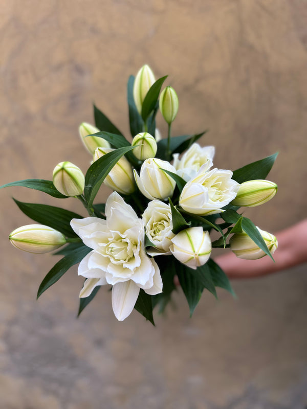 'Rose Lily White' Oriental Lilies - The Home Edit