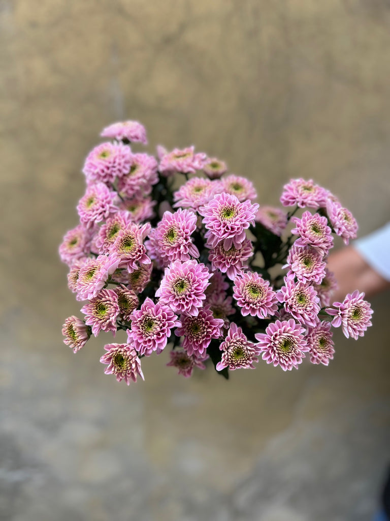 Lilac Santini Pom-Pom - The Home Edit