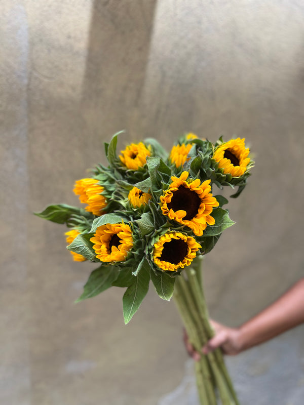 Sunflowers - The Home Edit