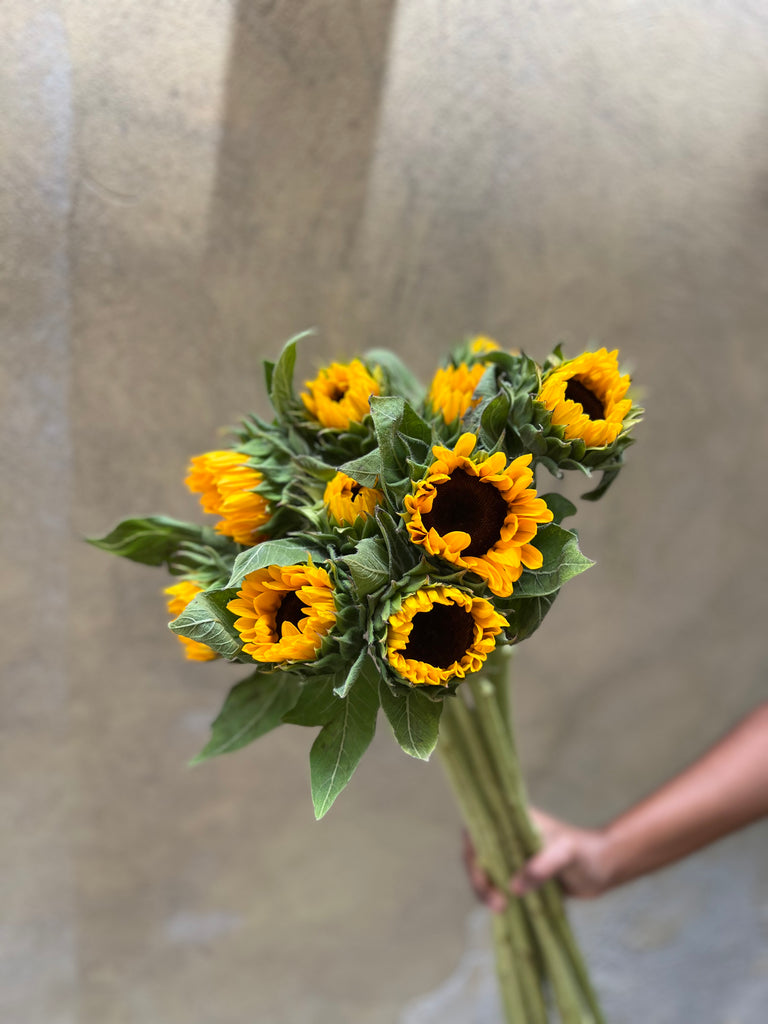 Sunflowers - The Home Edit