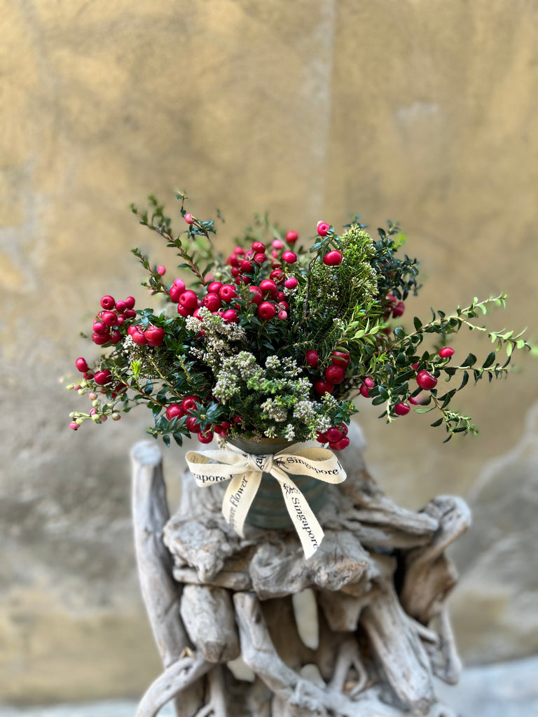 Autumn Berry
