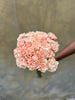 Just Peachy Carnations - The Home Edit