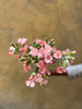 Pink Solomio Spray - The Home Edit