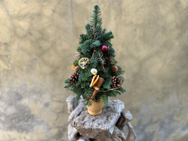 Mini Christmas Tree Arrangement