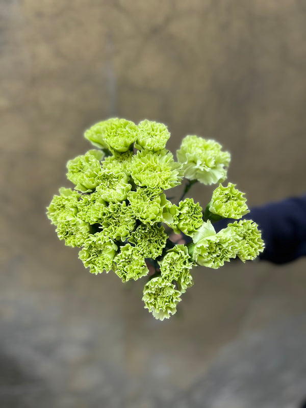 Minty Carnations - The Home Edit