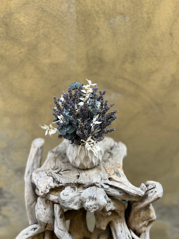 Mini Lavender Pot (Everlasting)