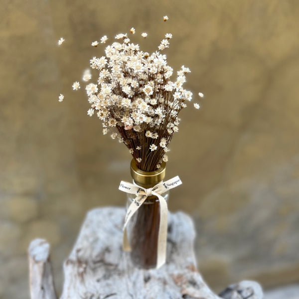Mini Daisy Budvase - Everlasting Blooms