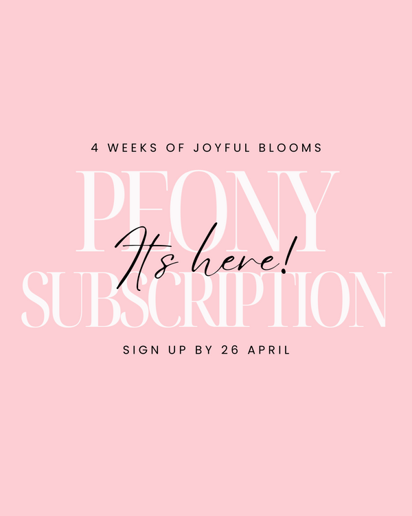 Peony Subscription - 4 Weeks Subscription