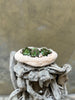 Succulent Wabi-Sabi Planter