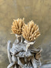 Wheat Fields Set