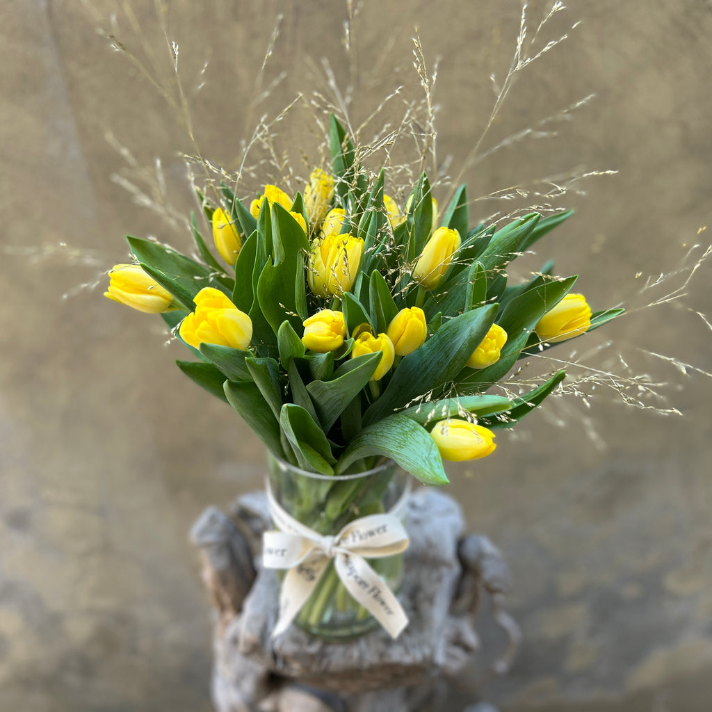 Tulip Sparkler