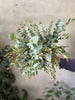 Eucalyptus Leaves Combo - The Home Edit