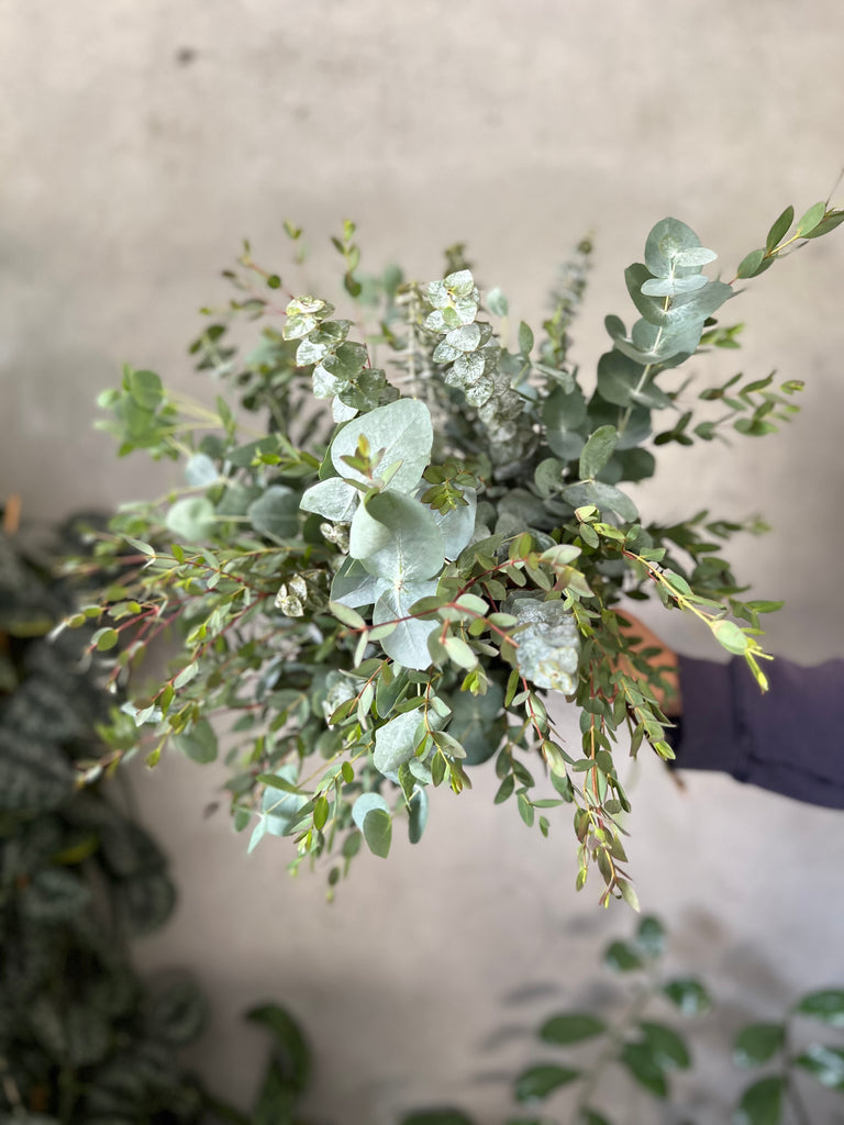 Eucalyptus Leaves Combo - The Home Edit