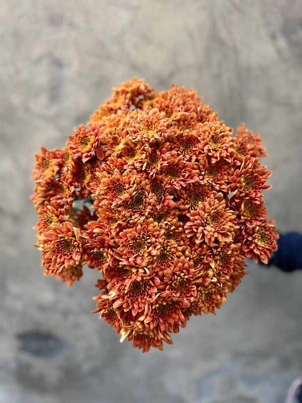 Chrysanthemum Spray Euro Bartoli – Orange - The Home Edit