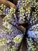 Home Blooms Subscription - Weekly Subscription