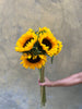 Sunflower 'Sunrich Orange' - The Home Edit
