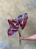 Cocoa Anthurium - The Home Edit