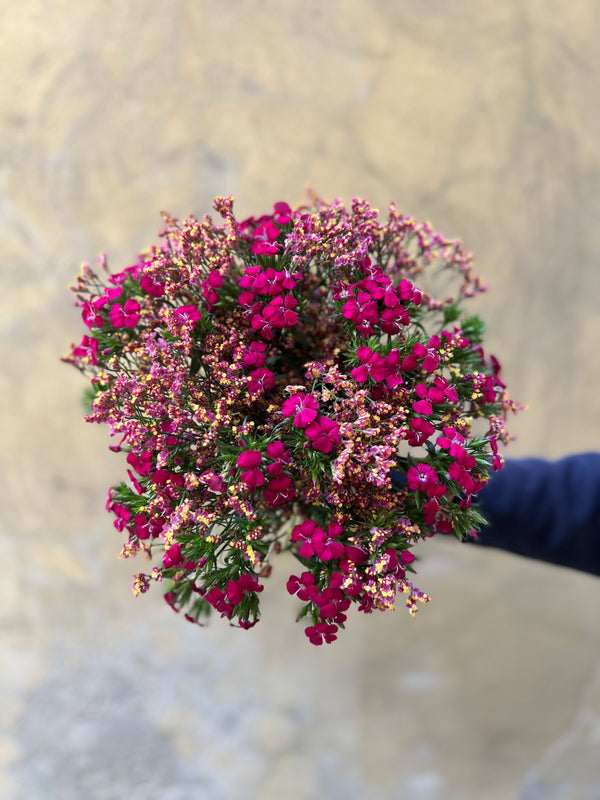 Pink Limonium and Dianthus Combo - The Home Edit