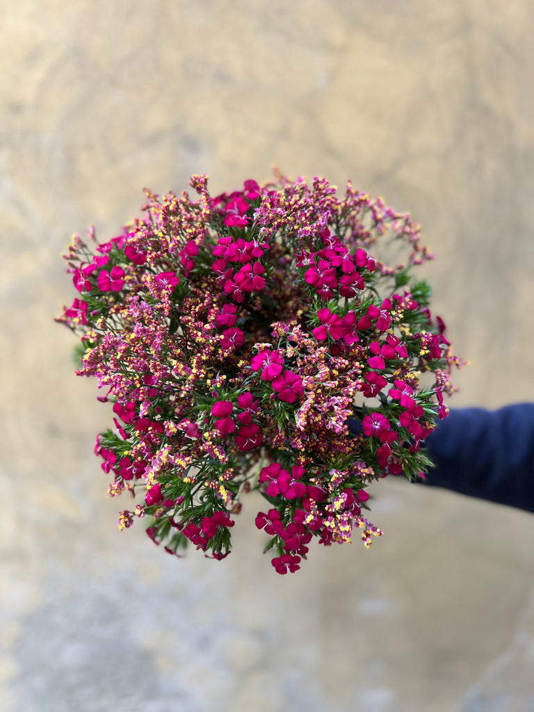 Pink Limonium and Dianthus Combo - The Home Edit