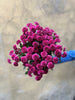 Purple Chrysanthemum Santini - The Home Edit
