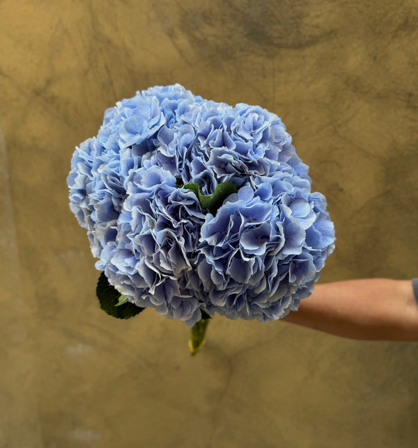 Blue Hydrangeas - The Home Edit