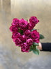 Blueberry Roses - The Home Edit