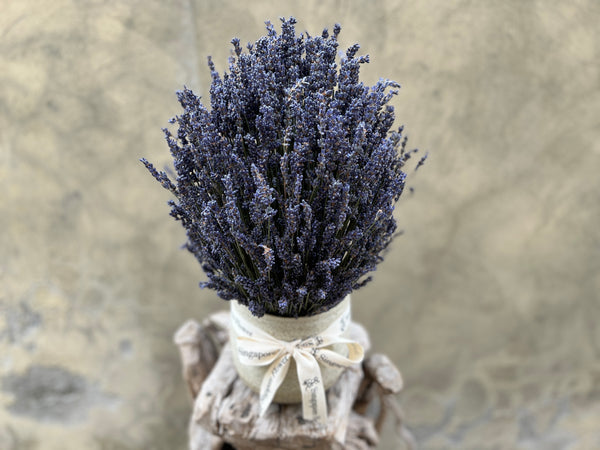 Lavender Serenity - Everlasting Blooms