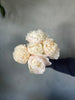 White Peonies - The Home Edit
