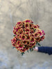 Chrysanthemum Santini Miri Yellow - The Home Edit