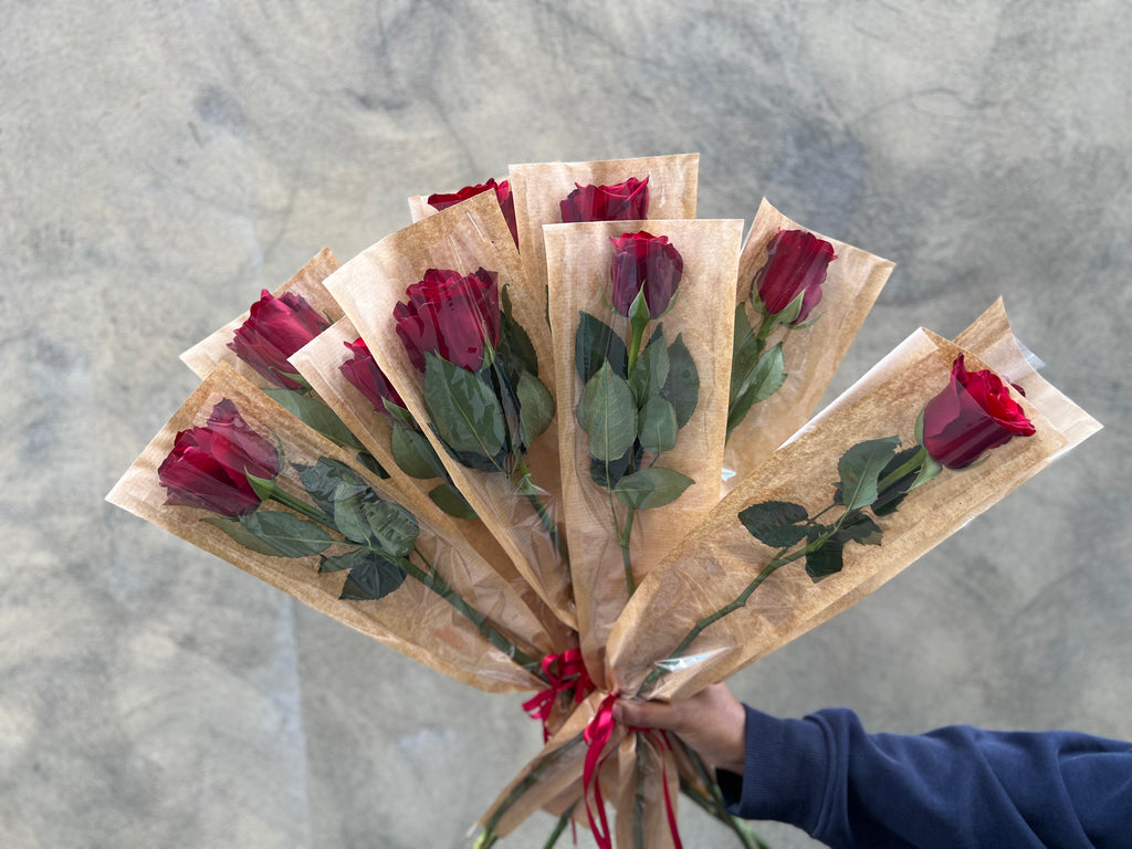 Valentine's Day Single Roses